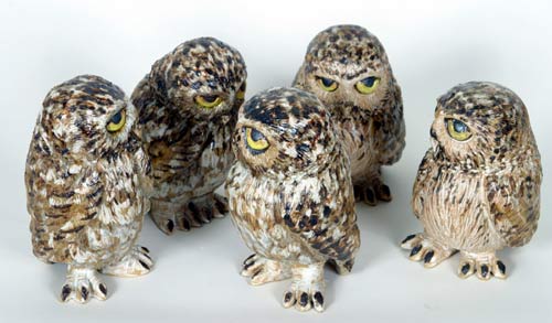 Group of Little Owls by Tracy Wright